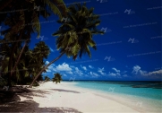 poster NO 14-240-8